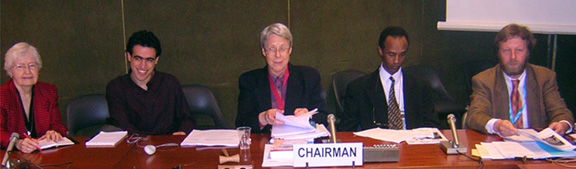 Panel